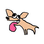 愛想の良いチワワ